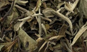 Thé blanc issu de l’agriculture biologique, d’origine du Fujian en Chine composé de bourgeons duveteux et de jeunes feuilles, récolté au printemps faiblement oxydé.