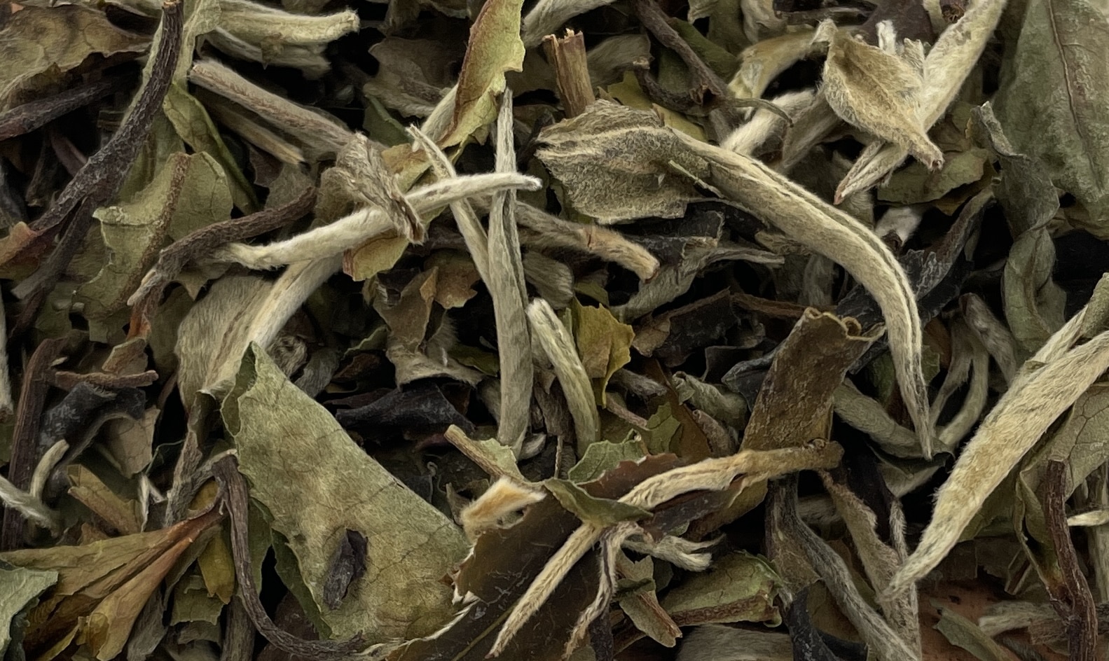 Thé blanc issu de l’agriculture biologique, d’origine du Fujian en Chine composé de bourgeons duveteux et de jeunes feuilles, récolté au printemps faiblement oxydé.