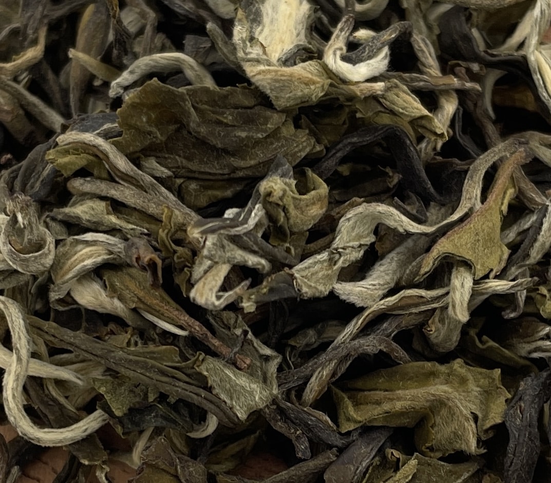 A l'infusion, ses feuilles libèrent des notes fraîches de fleurs blanches, de châtaigne et de fruit doux.